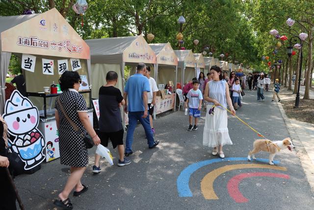 长假去哪玩？来金山朱泾，在花海中与音乐撞个满怀