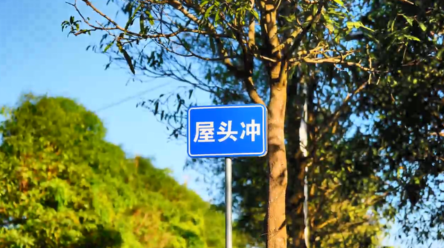 火了！玉林这片粉紫色的山坡，吸引不少人打卡