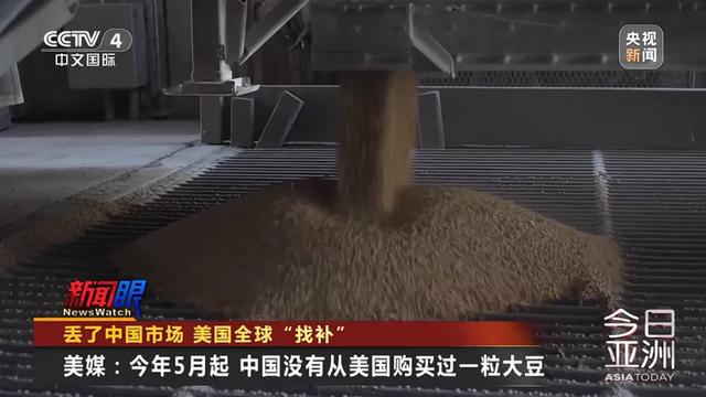 “中国一粒都没买”！大豆滞销，美国农民卖设备维持生计，“对特朗普的忠诚将接受考验”！特朗普满世界找买家，美协会急了：赶紧和中国谈