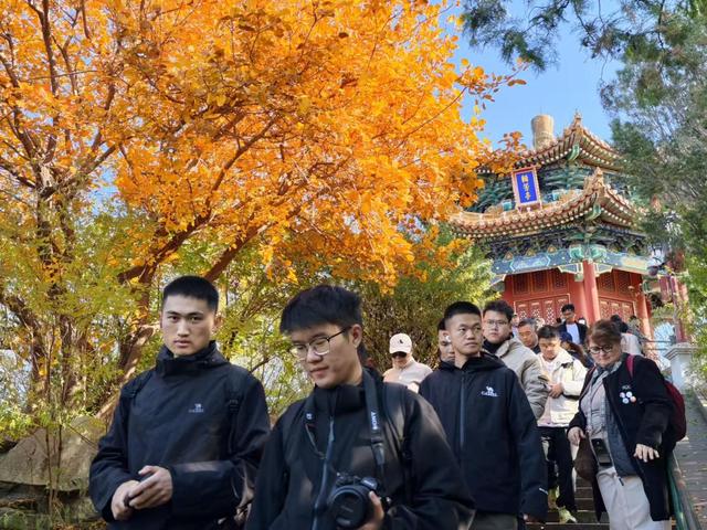 彩叶映红墙，景山公园迎来绚烂的最佳观赏期