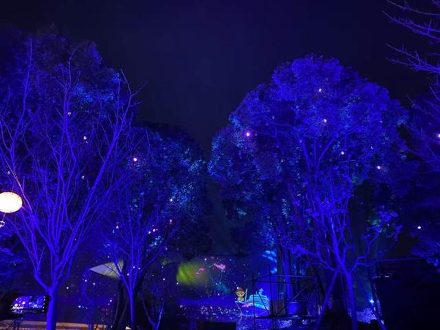 春夜樱花别有风情！上海樱花节首日迎来1万多名游客，首个夜晚人少景美两相宜，首个赏樱指数出炉