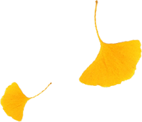 “西红柿炒蛋树”排队？快来秦淮开启“金黄时刻”！