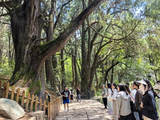 国际旅游城市怎么建？四川广元亮出“建设攻略”