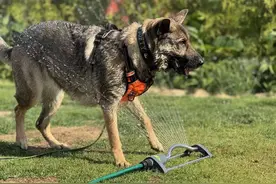 北京天气切换：高温暂退，多雨模式启动！未来一周4场雨图片