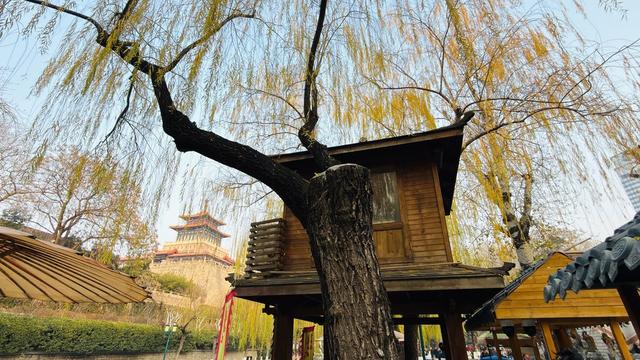 新视界｜济南护城河公园：清泉映垂柳 游客乐冬游