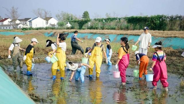 这里的群众性主题活动“高光时刻”已生成，速来查看！