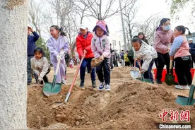 第40个首都义务植树日 129万北京市民植树播绿图片