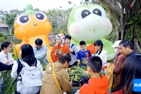 冬游海南 | 海口秀英区推出三大主题旅游线路 邀您山海相约图片