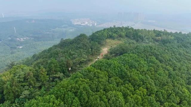 爬山啦！江阴登高好去处→