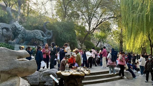 新视界｜济南护城河公园：泉水清清映垂柳 黄叶菊花别样新