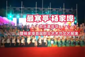 视频｜“最寒亭·杨家埠”欢乐嘉年华连场上演！图片