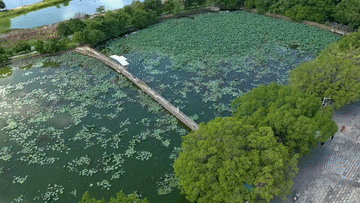 文化中国行丨明清古建×当代艺术，这个岭南古村凭“混搭”出圈