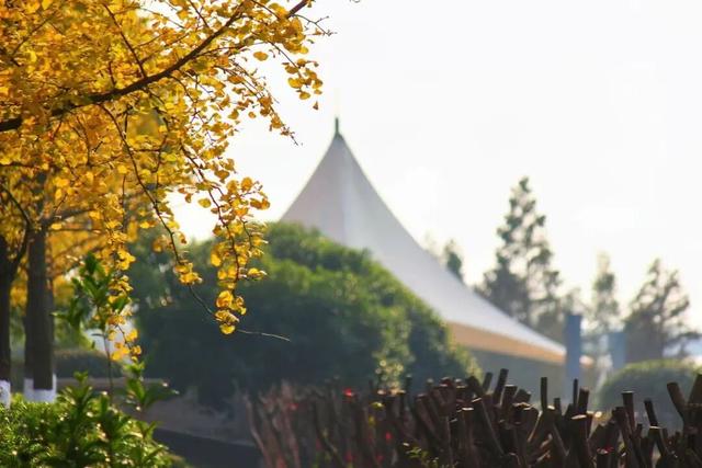 别眨眼，接下来的新干是这样的→