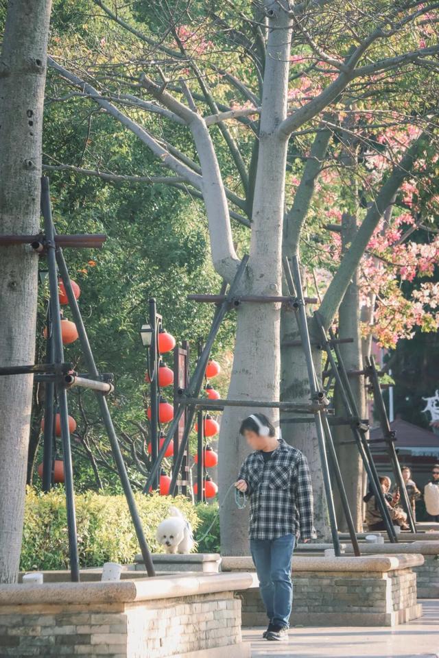 冬日暖阳里，来丰泽这儿享受惬意时光……