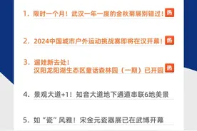 金秋限定菊花海，错过又等一年！图片