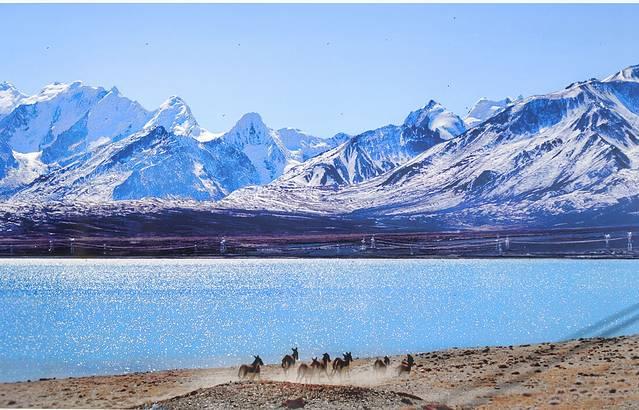 人生总要去一趟西藏吧（下）