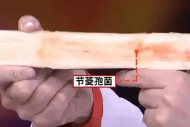 星空夜话丨这些水果还能吃吗？鉴定指南，快转给咱爸妈！图片