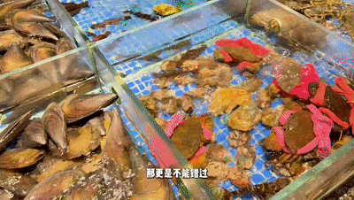 邓紫棋南宁演唱会良庆逛吃全指南！老友粉螺蛳粉柠檬鸭粉饺酸嘢……