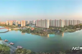 东莞沙田:走高质量发展之路，打造“魅力湾区、创新港城”图片