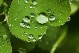 这些学术名词，为啥看起来这么像在搞黄色？！图片