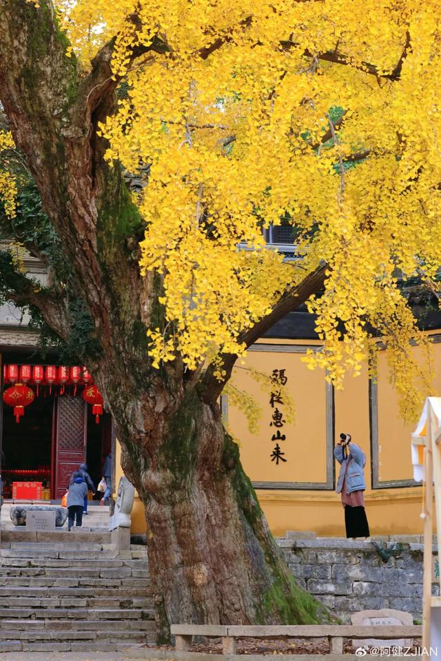 致 盐 城