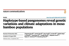 竹子基因图谱新进展：毛竹泛基因组发布图片
