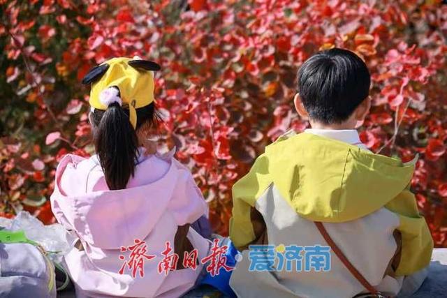 一年四季 泉在济南丨济南蝎子山秋色“美出圈”！半山红妆半山青翠，独特“鸳鸯火锅”景观引客来