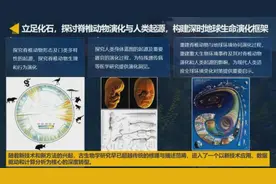 亿万年前的生命如何“重现”？中国科研团队用科技“复活”古生物！图片