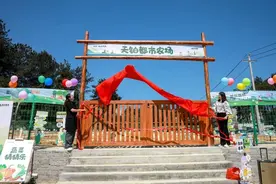 钢筋水泥间的“田园生活”！观山湖区首个城市社区共享农场开园图片