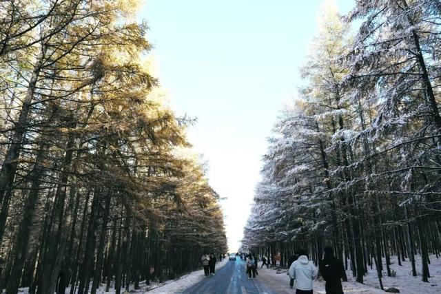 这个秋天，呼和浩特文旅资源频频刷屏央视