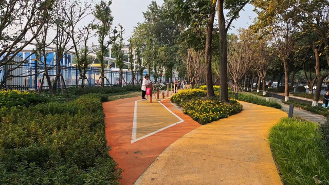 成都的绿道，上万公里了！