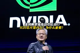 美国解禁英伟达芯片出口：H20芯片是什么？为什么重要？丨夜话