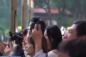 与“顶流”国宝为伴 揭秘这份“神仙工作”背后的酸甜苦辣图片