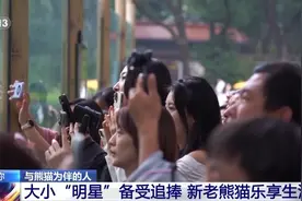 与“顶流”国宝为伴 揭秘这份“神仙工作”背后的酸甜苦辣图片