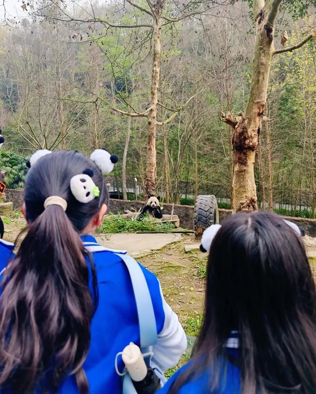 【2026成都冬令营】雪韵蓉趣，嗨玩蜀冬：解锁巴适成都生活！