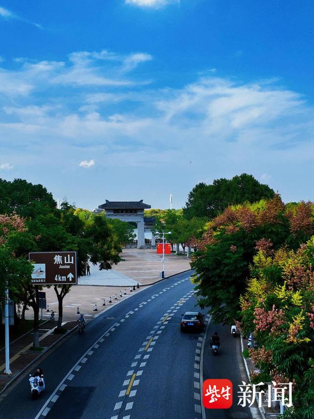 秋意渐起，栾树花开如画