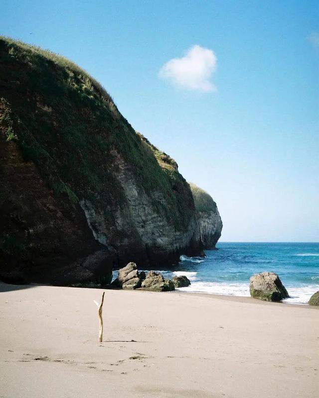 去大西洋，一直游到艺术的丰饶之海