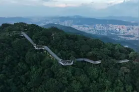 林间飞白练，护君上青云图片