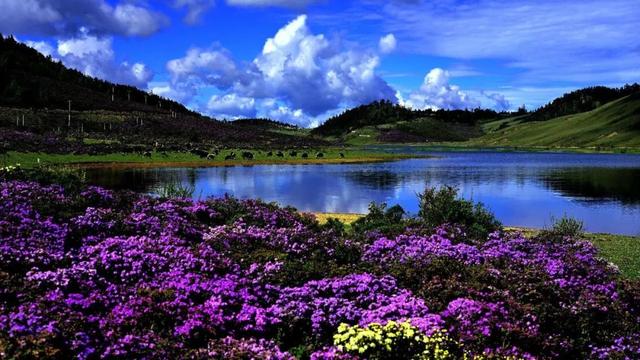 【跟着火把节游凉山】五条清凉线路③：“情定女儿国·探秘香格里拉”寻梦之旅