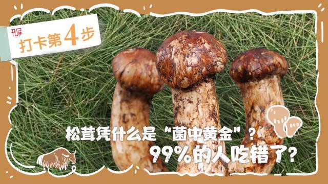 解锁“世界松茸第一村”，总共需几步？