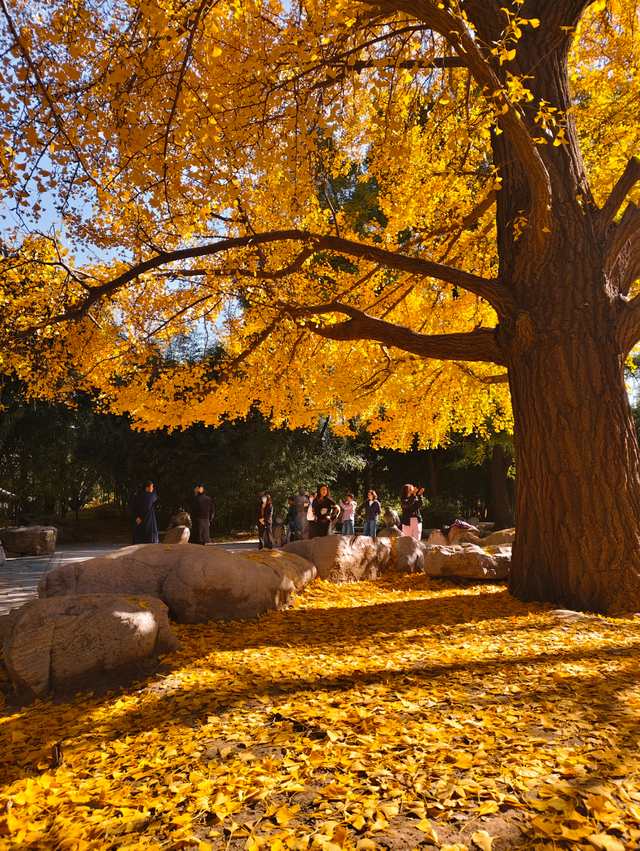太美了！漫步南长河，邂逅满途风光