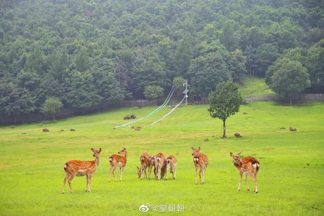 当代人的旅行观：在火山与泉水中，见天地见自己
