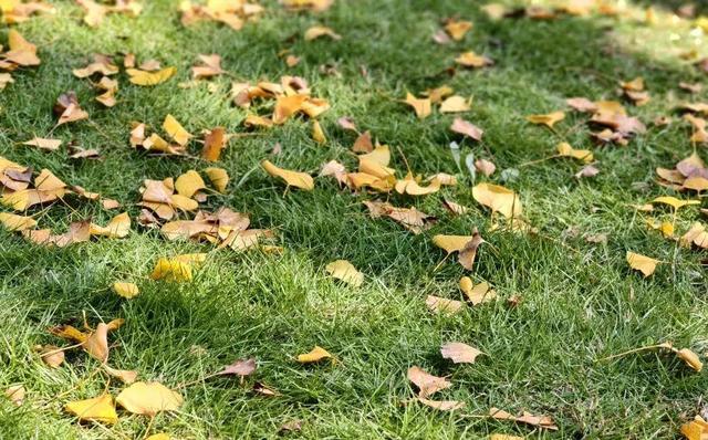 云驼秋深，重阳登高：赴一场山与暖的约会