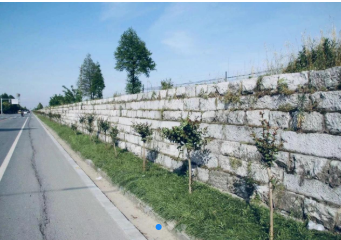 16+6，“走进申海”带你逛遍魔都海岸线