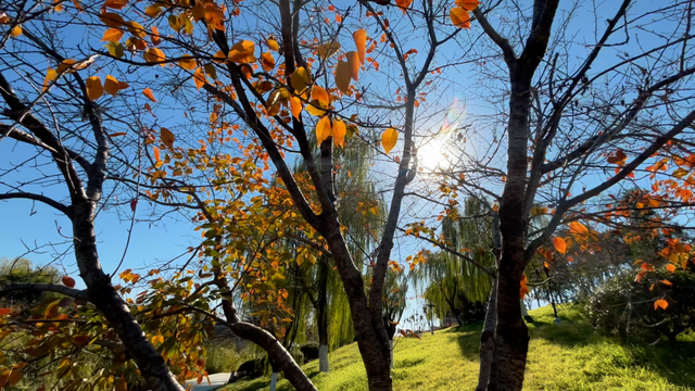 【美丽瀍河】醉美冬韵！快来瀍河感受冬日美好