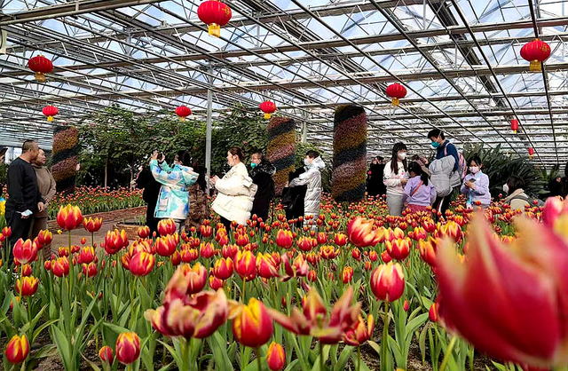 挖到新彩蛋！这处4A级景区玩法超多→