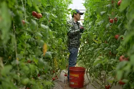 精打细算用好黄河水——宁夏吴忠市春耕备耕一线见闻图片