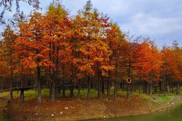 宁国的秋冬，藏着N种让人心动的打开方式