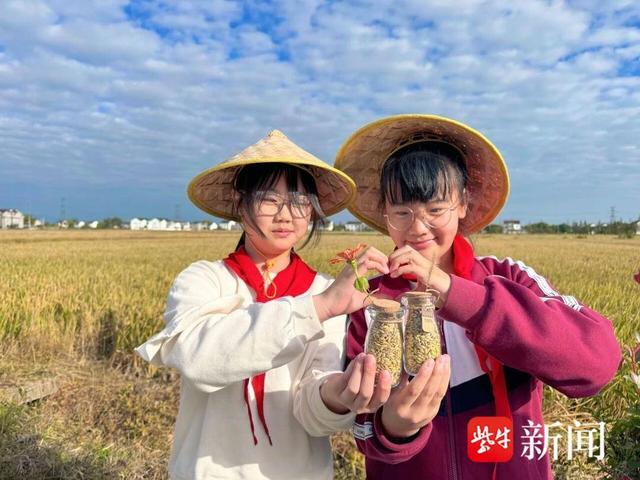 探寻蚕桑文化，领略农耕之美！“何北村秋收农耕”亲子体验活动来咯