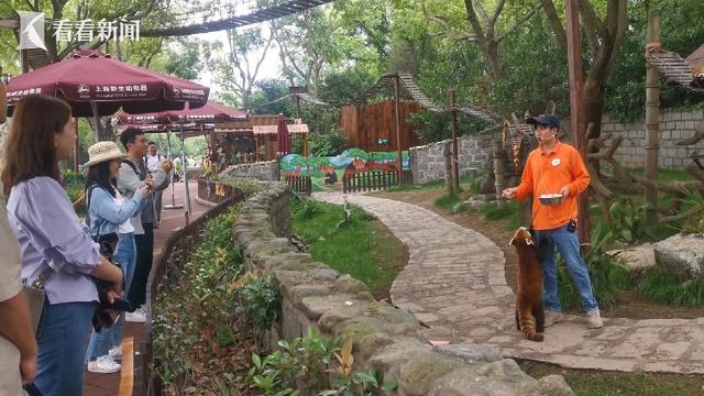 周杰伦、花车巡游助力 这波狂欢要持续到国庆